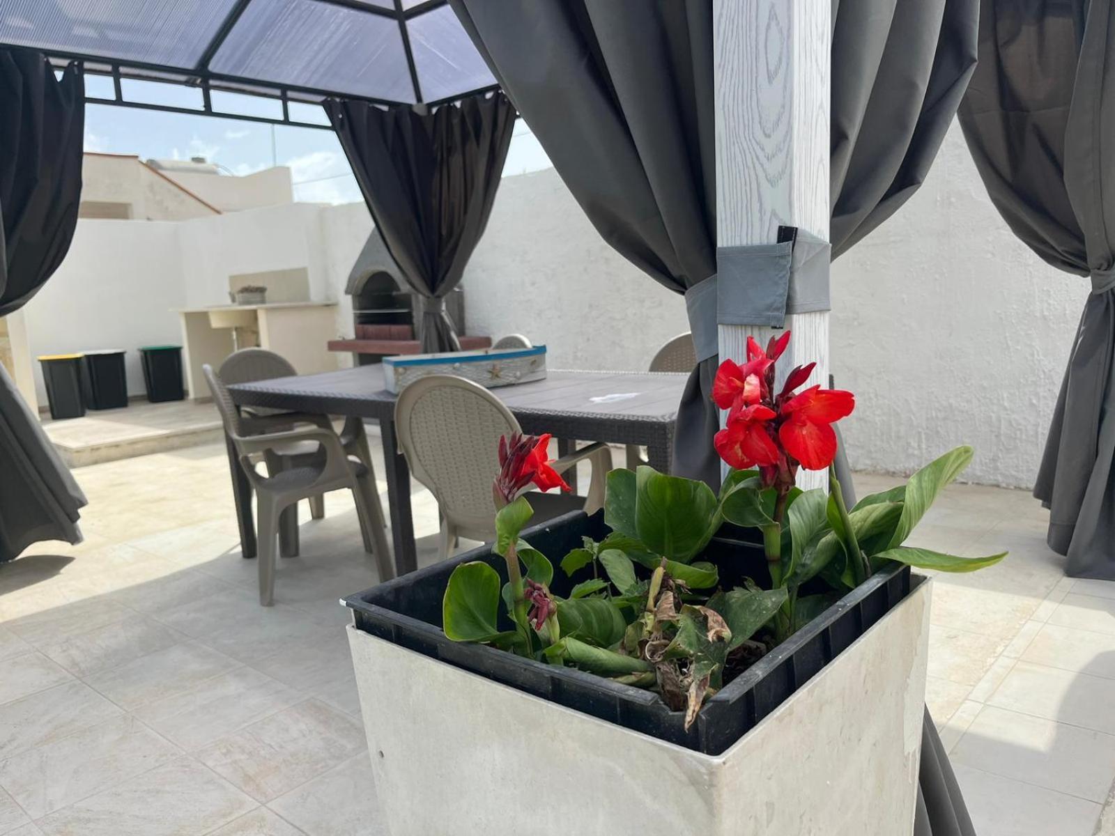 Villa Tellina Mare Luna غرانيللي المظهر الخارجي الصورة